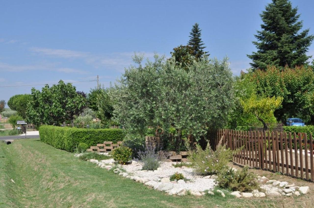 Agriturismo Il Girasole Assisi Exterior photo